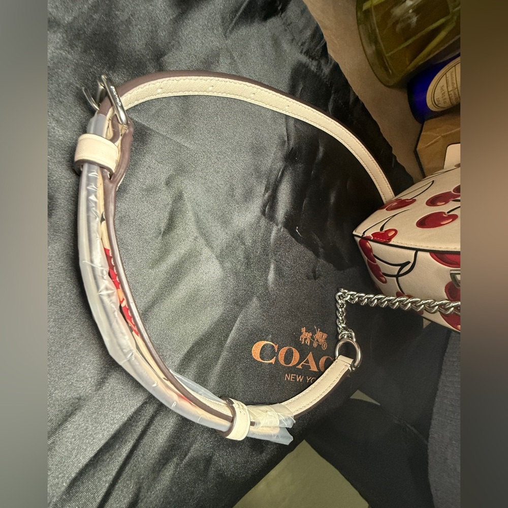 Coach Heart-Shaped Crossbody Bag with Cherry Print - duster bag - shopping bag - Picture 5 of 14